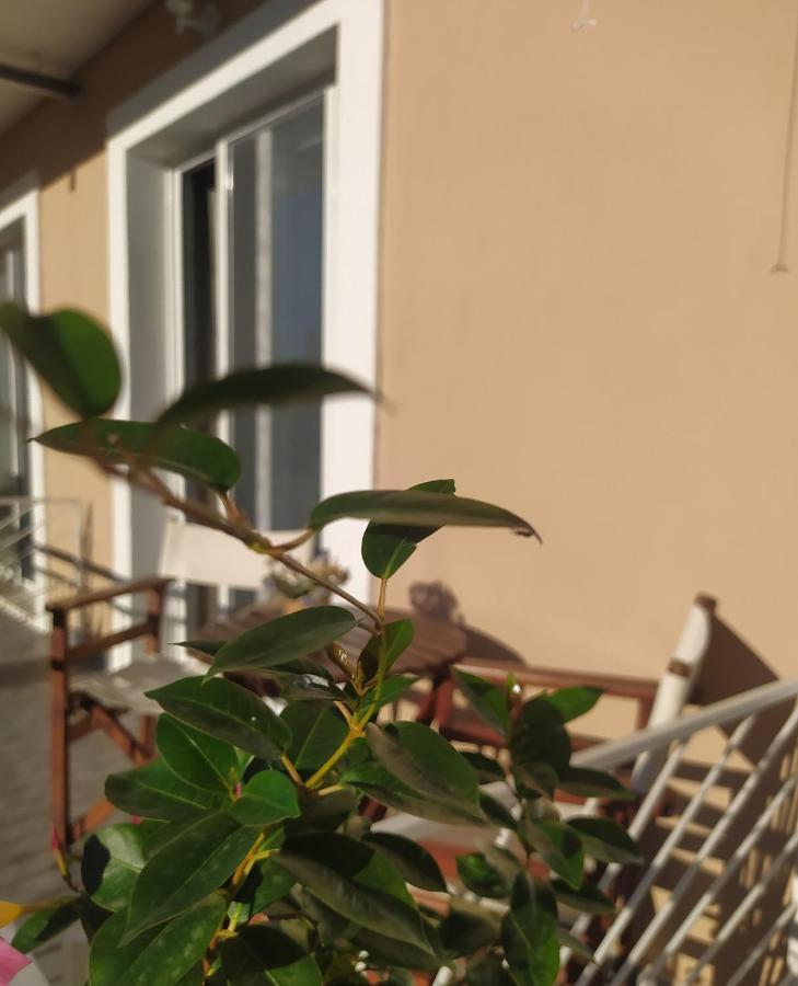 Apartmani Vico Herceg Novi Exteriér fotografie
